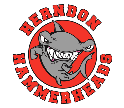 herndon-hammerheads