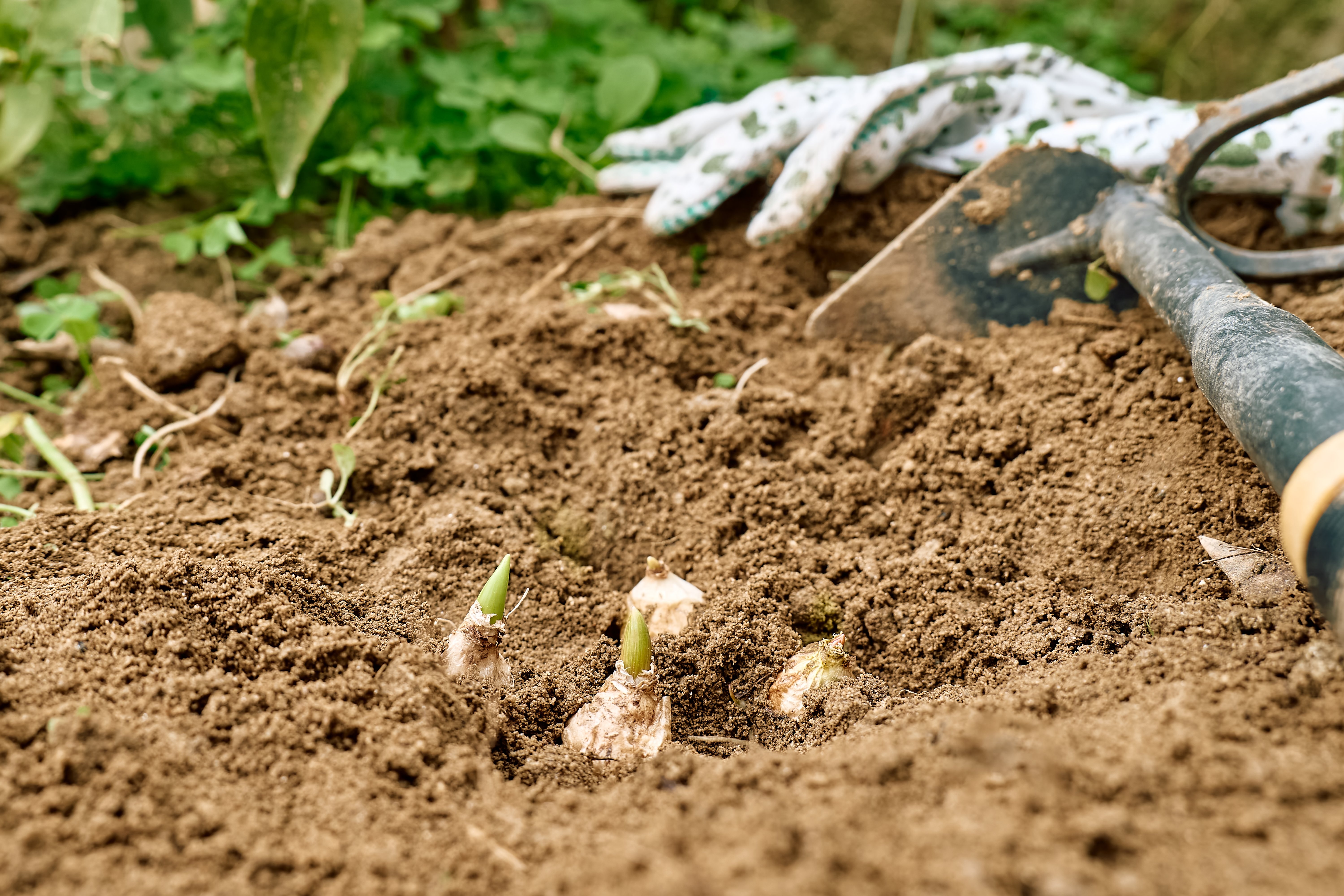 Spring Spruce Up: Home Improvement Ideas for Spring 2022